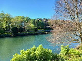 Île aux Faisans - Hendaye - (c) sonneur
