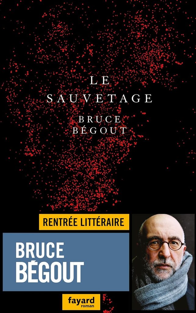Bruce Bégout. Le sauvetage. Fayard 2018